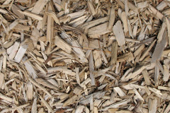 biomass boilers Ty Rhiw